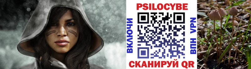 Купить закладки  Мосальск  Псилоцибиновые грибы прущие грибы 