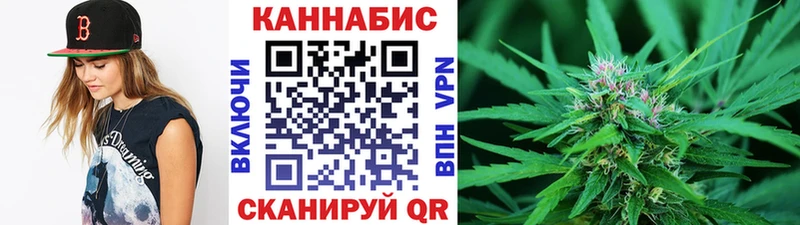 Купить где  Мосальск  Конопля тримм 
